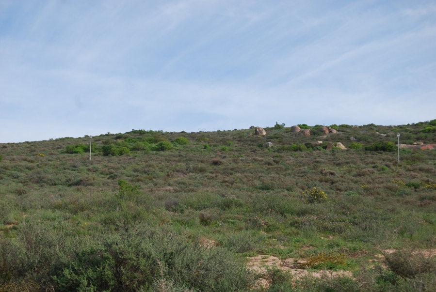 0 Bedroom Property for Sale in Sandy Point Harbour Western Cape